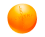 Buy Levitra Now!